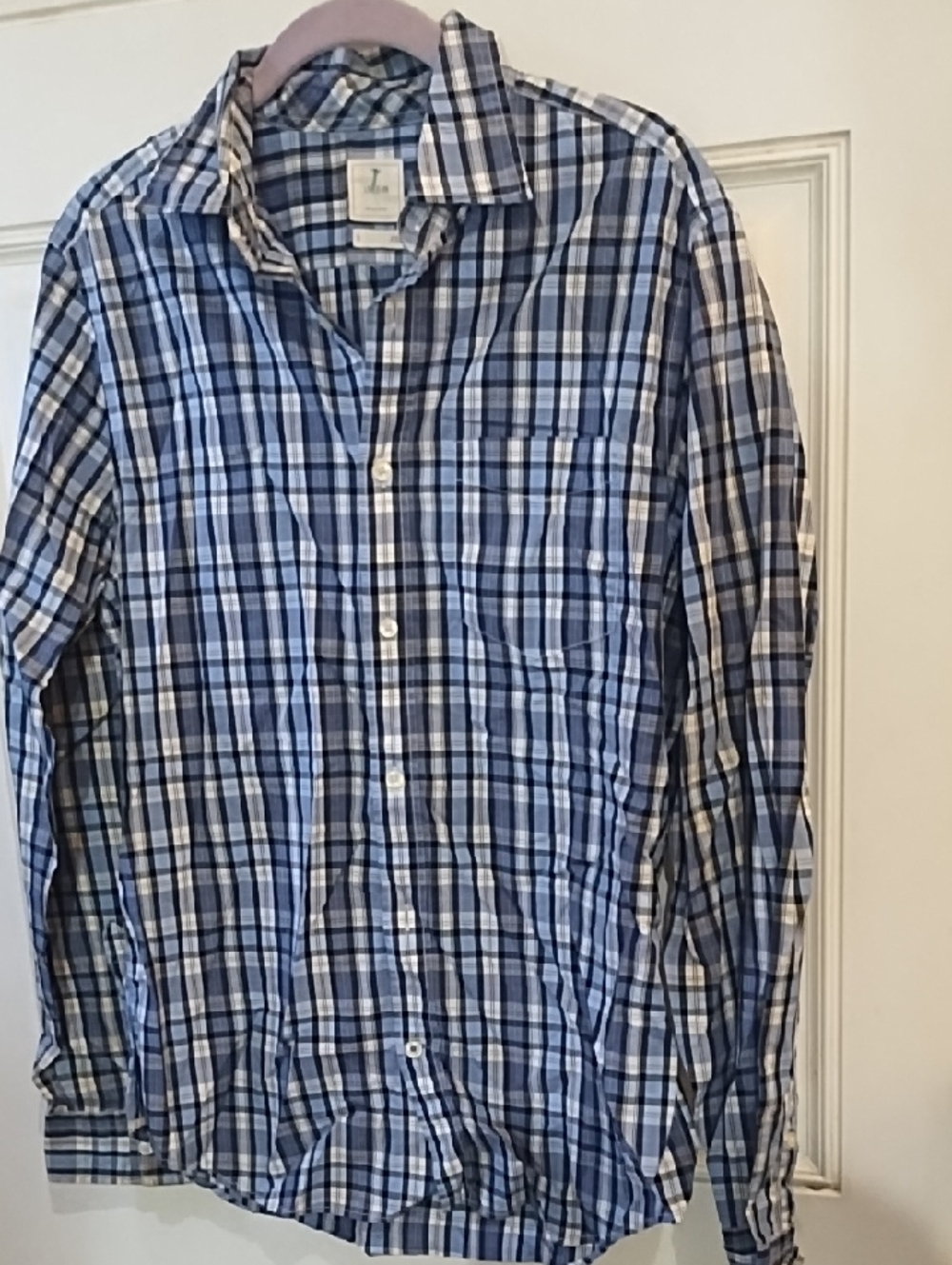GAP Blue and White Plaid Long-Sleeve Button-Down Shirt